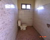 listing thumbnail image 29