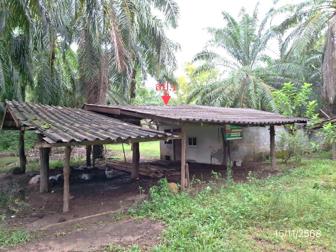 รูป บ้านเดี่ยว สำหรับขาย - วังมะปรางเหนือ วังวิเศษ ตรัง - รูปที่ 16/34