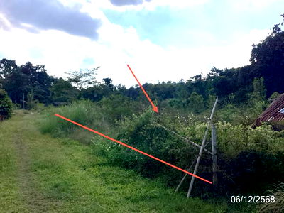 Land for sale Chiang Rai : LAND for sale  Pong Phrae Mae Lao Chiang Rai