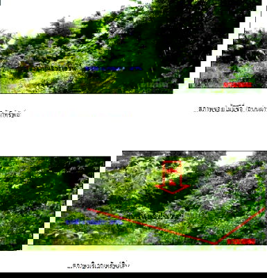 Land for sale Nua Khlong Krabi : FOR SALE  LAND PROPERTY  717000 BAHT.