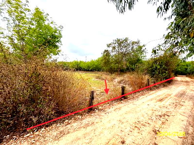 ที่ดินว่างเปล่า สำหรับขาย - คำครั่ง เดชอุดม อุบลราชธานี