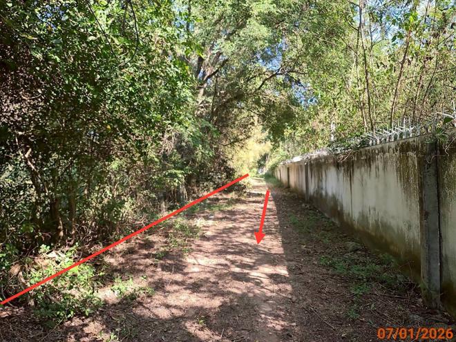 รูป ที่ดินว่างเปล่า สำหรับขาย - ตะคุ ปักธงชัย นครราชสีมา - รูปที่ 3/22