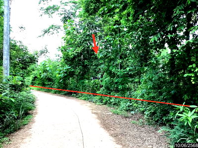 LAND 3487 Sq.w. Na Klang Nong Bua Lam Phu for 2.1M