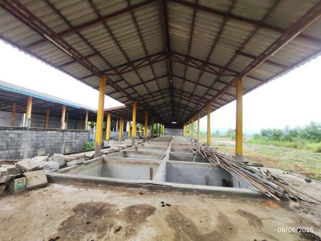 picture FACTORY for sale Sri Phum Tha Wang Pha Nan - 15/36