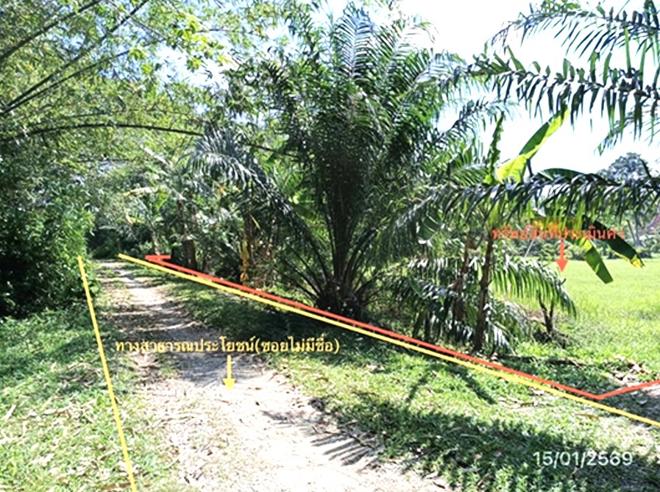รูป ที่ดินว่างเปล่า สำหรับขาย - หานโพธิ์ เขาชัยสน พัทลุง - รูปที่ 4/22