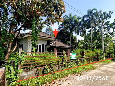 HOME 128 Sq.w. Thung Song Nakhon Sri Thammarat for 3.2M