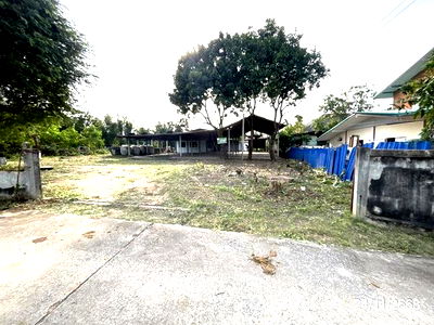 Houses for sale Nakhon Ratchasima : HOME for sale  Don Chomphu Non Sung Nakhon Ratchasima