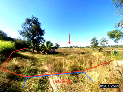 ที่ดินว่างเปล่า 7108 ตร.วา โพนพิสัย หนองคาย 4.7M
