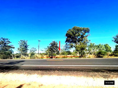 Land for sale Si Songkhram Nakhon Phanom : LAND for sale  Phon Sa Wang Si Songkhram Nakhon Phanom