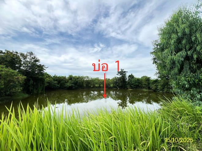 picture HOME for sale Ang Hin Pak Tho Ratchburi - 20/44