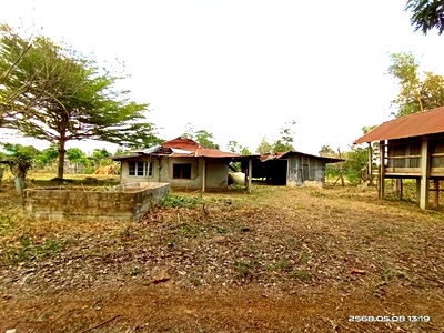 Houses for sale Kalasin : HOME for sale  Huai Pho Muang Kalasin Kalasin