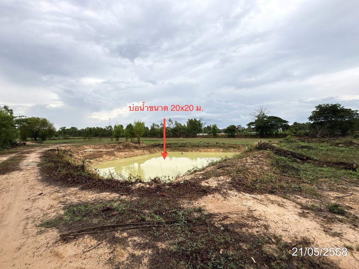 รูป โกดัง สำหรับขาย - นาหมอม้า เมืองอำนาจเจริญ อำนาจเจริญ - รูปที่ 40/44