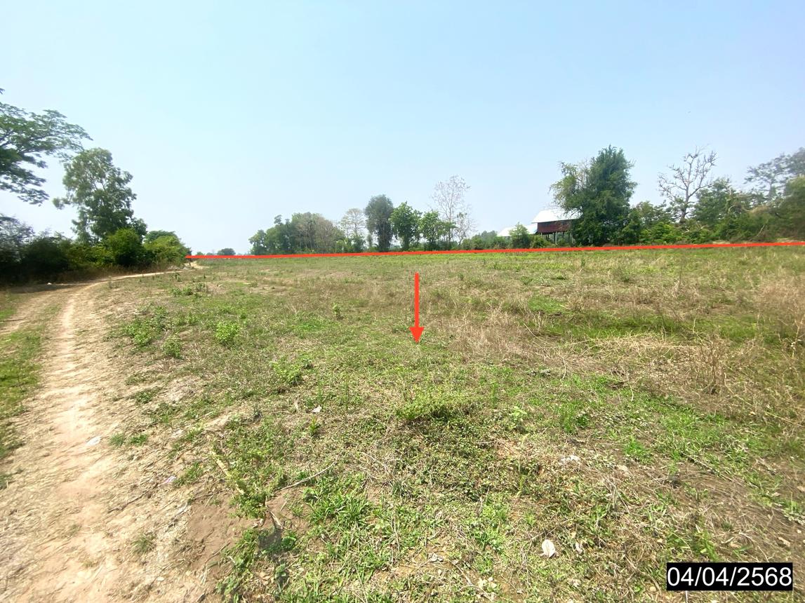 รูป ที่ดินว่างเปล่า สำหรับขาย - ลำหนองแสน หนองกุงศรี กาฬสินธุ์ - รูปที่ 14/24