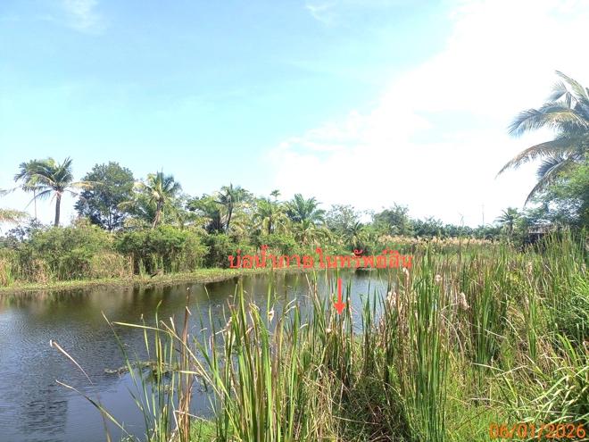 รูป บ้านเดี่ยว สำหรับขาย - หัวไทร หัวไทร นครศรีธรรมราช - รูปที่ 16/38