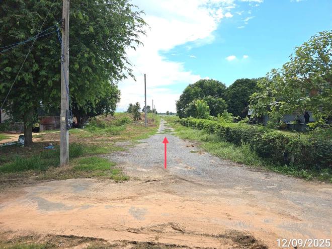 picture LAND for sale Wang Phikun Wang Thong Phitsanulok - 3/14