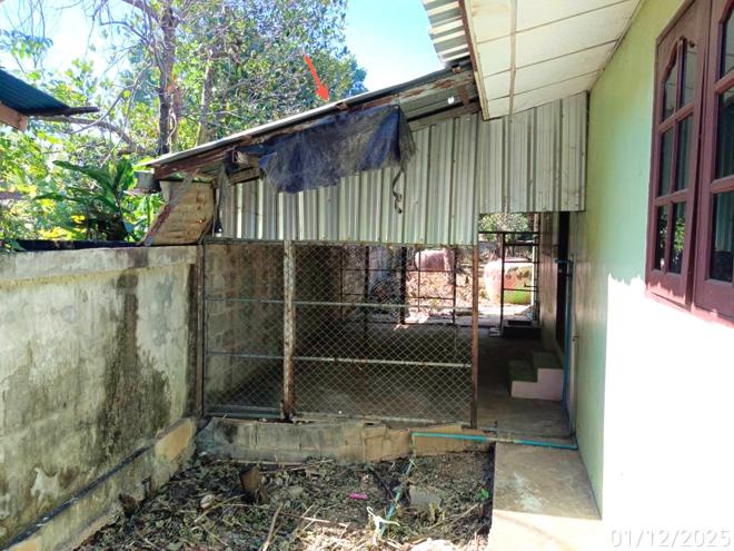 รูป บ้านเดี่ยว สำหรับขาย - วังท่าดี หนองไผ่ เพชรบูรณ์ - รูปที่ 10/34