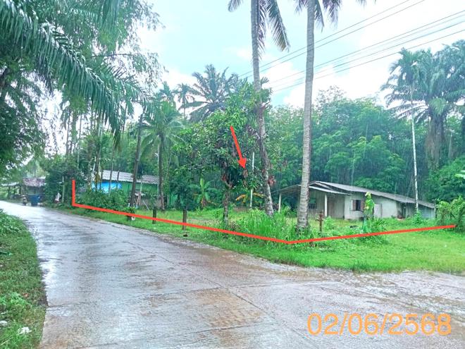 รูป บ้านเดี่ยว สำหรับขาย - พรุดินนา คลองท่อม กระบี่ - รูปที่ 3/14