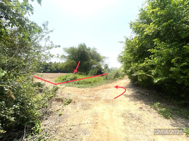 รูป ที่ดินว่างเปล่า สำหรับขาย - ดงป่าคำ เมืองพิจิตร พิจิตร - รูปที่ 3/18