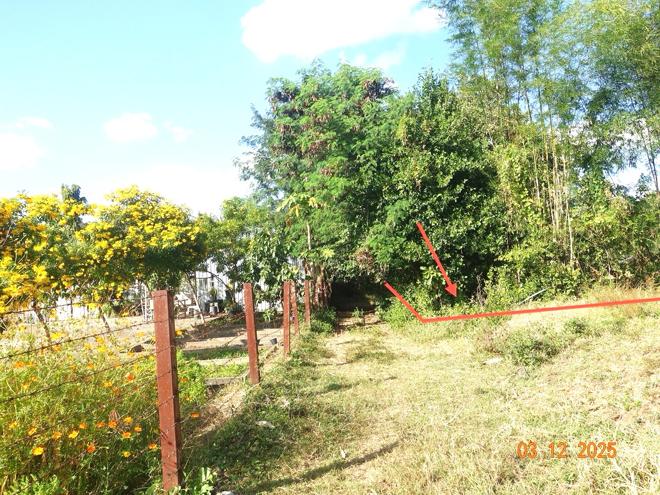 picture LAND for sale E-san Muang Buri Ram Buri Ram - 2/14