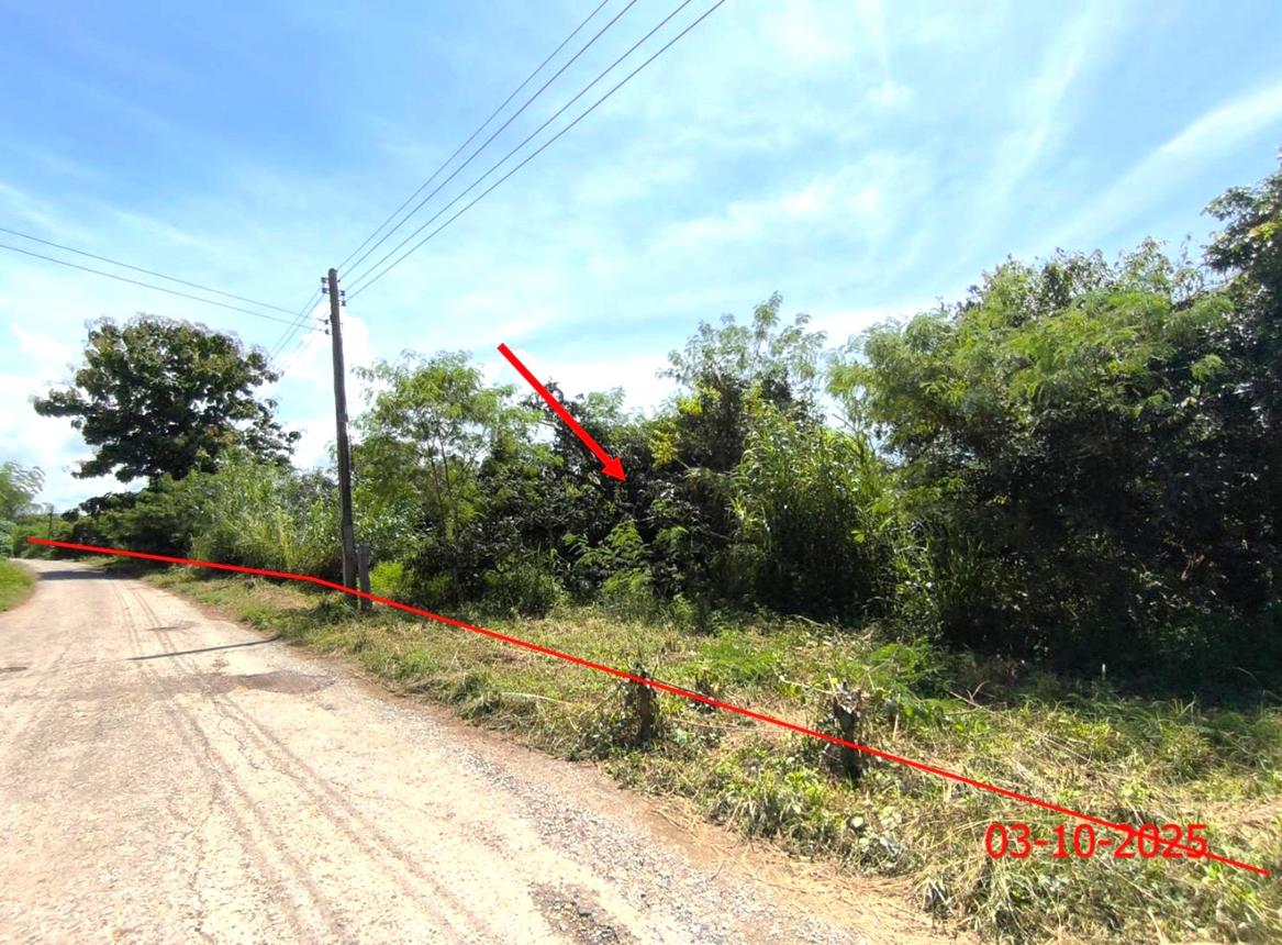 picture LAND for sale  Pa Phai Li Lamphun - 9/18