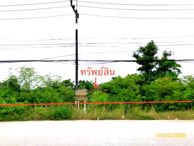 Land for sale Chaiya Surat Thani : LAND for sale  Pa We Chaiya Surat Thani