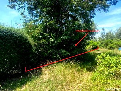 Land for sale Songkhla : LAND for sale  Kradangnga Sathing Phra Songkhla