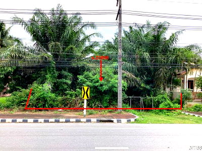 ที่ดิน บางสะพาน ประจวบคีรีขันธ์ : ที่ดินว่างเปล่า สำหรับขาย - พงศ์ประศาสน์ บางสะพาน ประจวบคีรีขันธ์