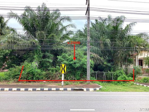 ที่ดินว่างเปล่า 8152 ตร.วา บางสะพาน ประจวบคีรีขันธ์ 13.9M