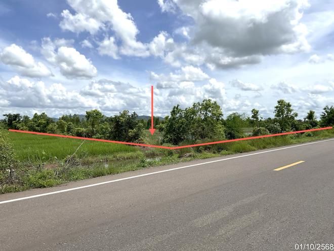 picture LAND for sale Khok Dua Phaisali Nakhon Sawan - 2/22