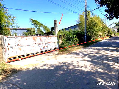Land for sale Kalasin : LAND for sale  Kalasin Muang Kalasin Kalasin