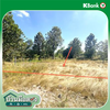 listing thumbnail image 11