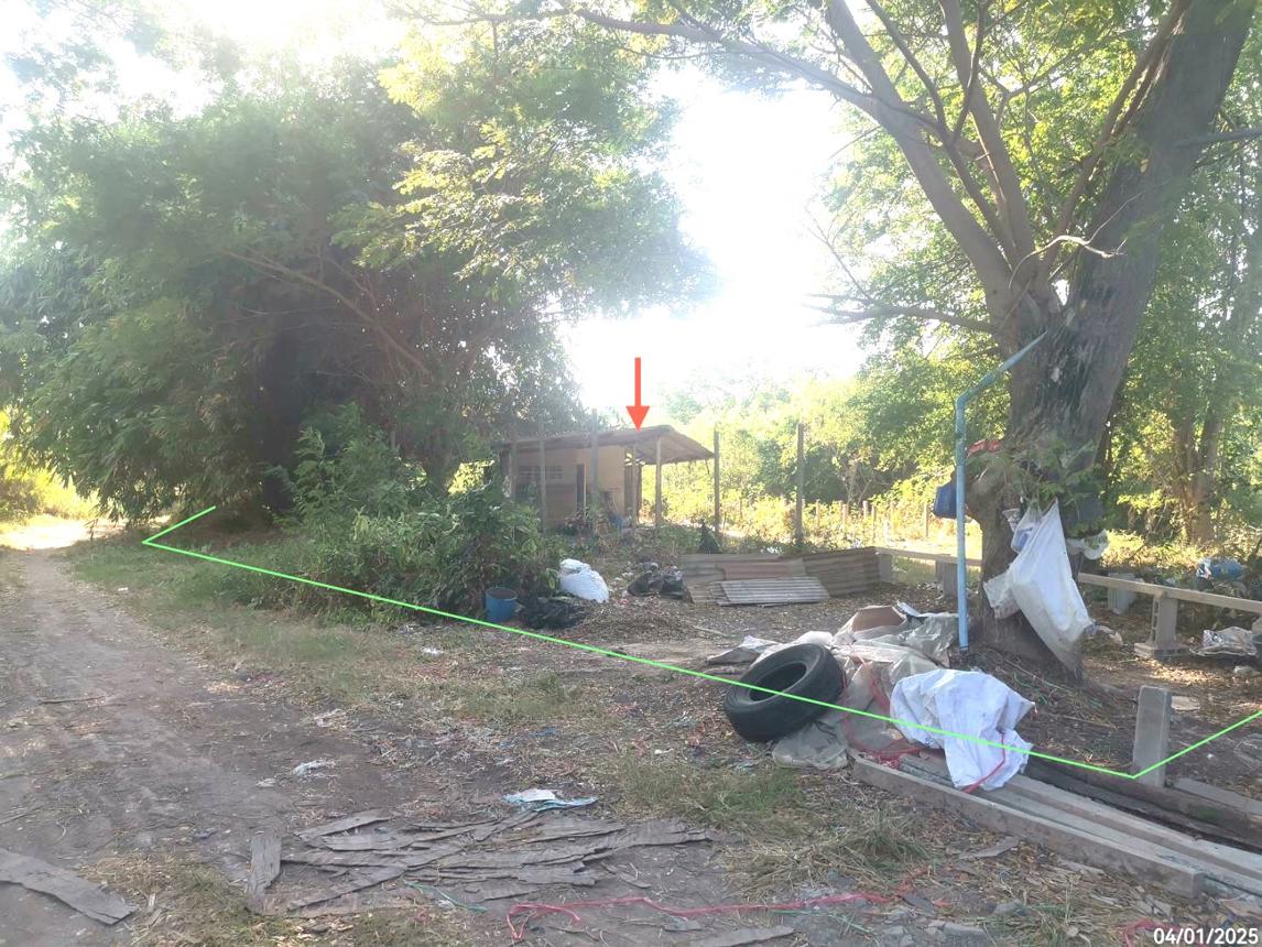 รูป ที่ดินว่างเปล่า สำหรับขาย - เอกราช ป่าโมก อ่างทอง - รูปที่ 12/16