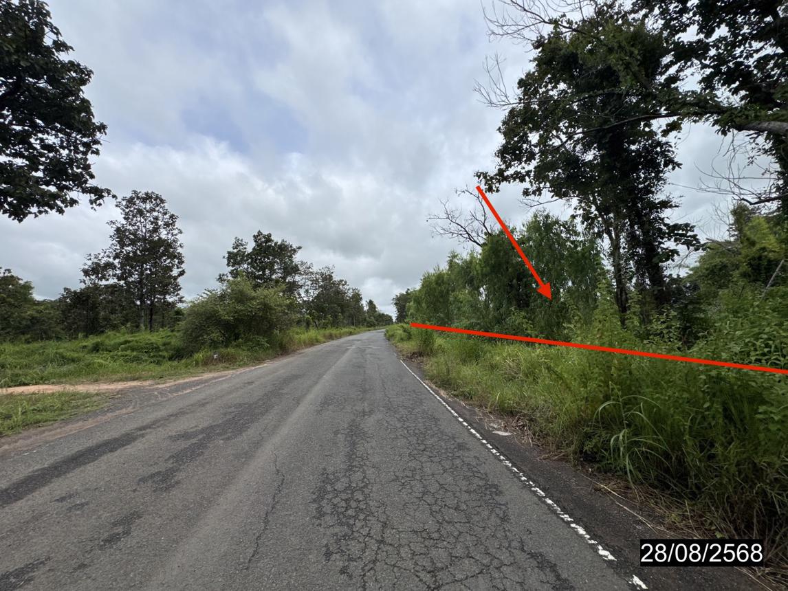 รูป ที่ดินว่างเปล่า สำหรับขาย - เสนางคนิคม เสนางคนิคม อำนาจเจริญ - รูปที่ 18/24