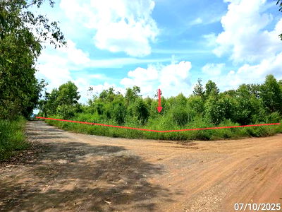 Land for sale Phetchabun : LAND for sale  Nong Phai Nong Phai Phetchabun