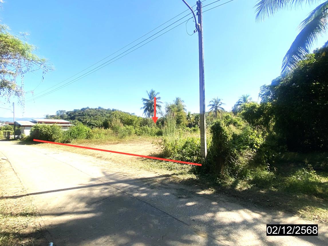 รูป ที่ดินว่างเปล่า สำหรับขาย - ปากชม ปากชม เลย - รูปที่ 11/22