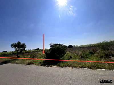 Land for sale Chaiyaphum : LAND for sale  Nong Don Chatturat Chaiyaphum