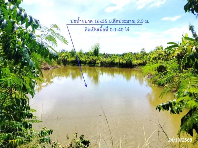 รูป ที่ดินว่างเปล่า สำหรับขาย - บ้านโพน โพนนาแก้ว สกลนคร - รูปที่ 8/24