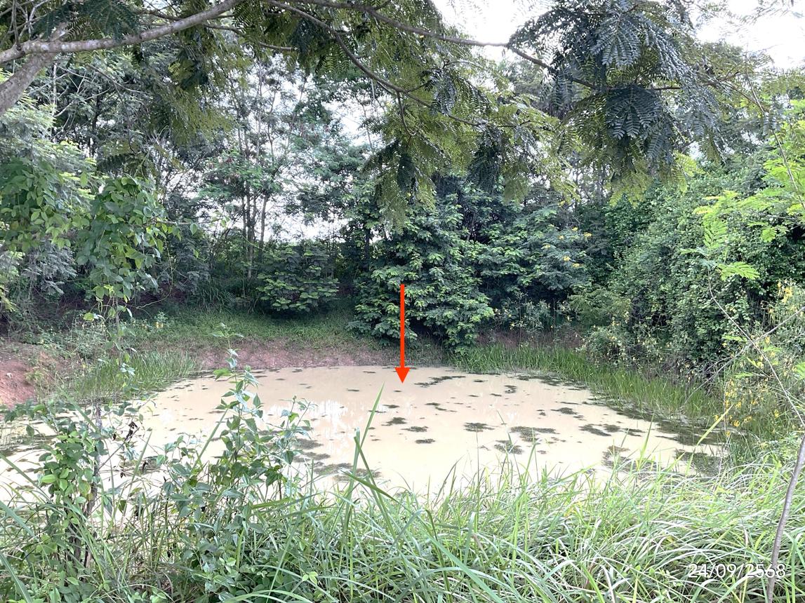 picture LAND for sale Pan Suk Aranyaprathet Srakaeo - 14/20