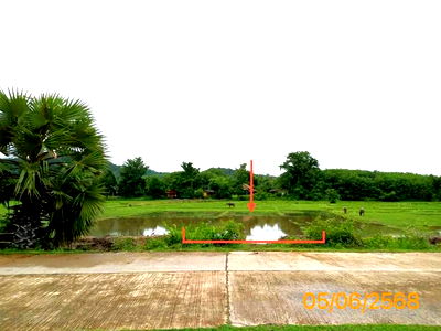 Land for sale Phangnga : LAND for sale  Ko Yao Noi Ko Yao Phangnga