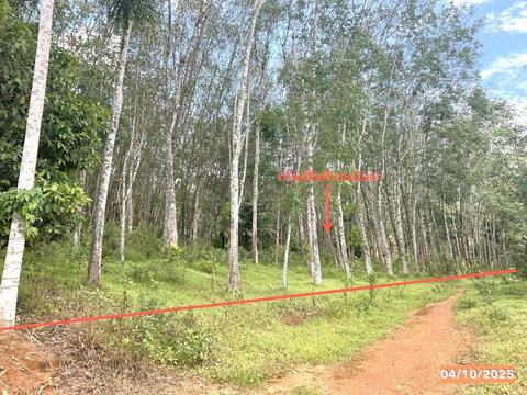 ที่ดินว่างเปล่า 3544 ตร.วา ปะเหลียน ตรัง 3.1M