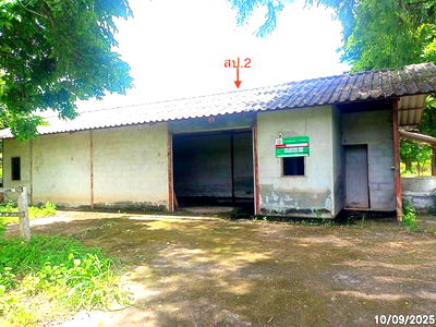 Factory for sale Ubon Ratchathani : FACTORY for sale  Pa Mong Det Udom Ubon Ratchathani