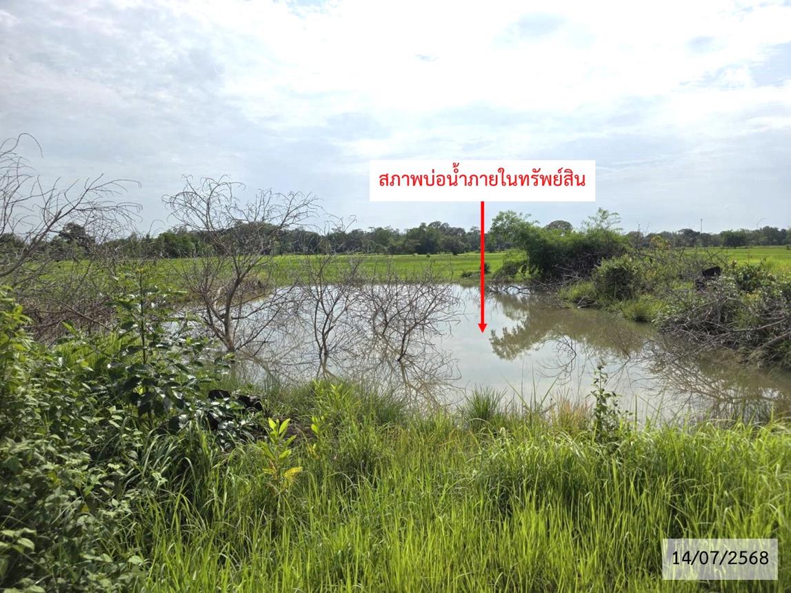 รูป ที่ดินว่างเปล่า สำหรับขาย - ท่าลาด เรณูนคร นครพนม - รูปที่ 22/26