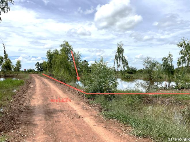 picture LAND for sale Khok Dua Phaisali Nakhon Sawan - 9/22