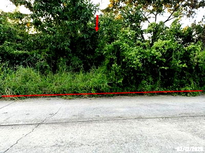 Land for sale Nong Bua Lam Phu : LAND for sale  Han Na Ngam Si Bun Ruang Nong Bua Lam Phu