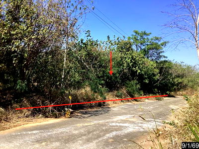 ที่ดิน ปากช่อง โคราช : ที่ดินว่างเปล่า สำหรับขาย ภูริพิมาน ปากช่อง ปากช่อง นครราชสีมา