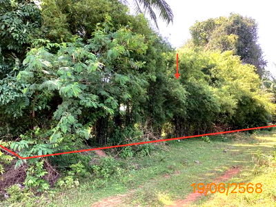 ที่ดิน คลองท่อม กระบี่ : ที่ดินว่างเปล่า สำหรับขาย - ทรายขาว คลองท่อม กระบี่