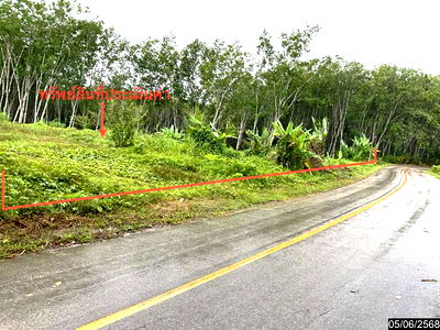 Land for sale Trang : LAND for sale  Nong Chang Laen Huai Yot Trang