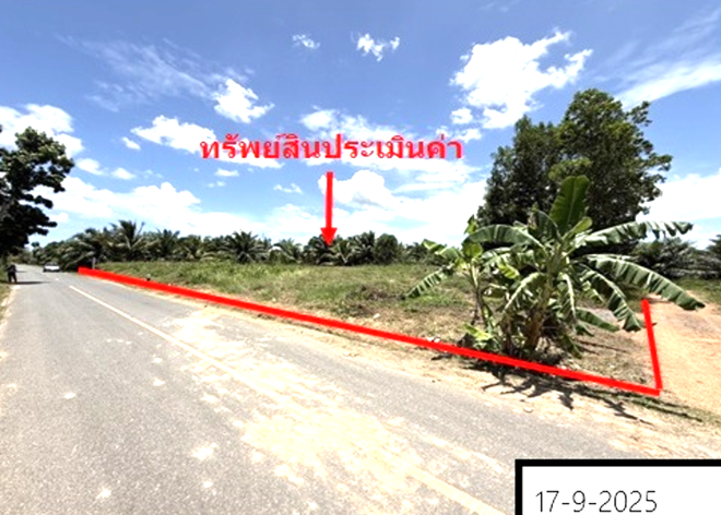 รูป ที่ดินว่างเปล่า สำหรับขาย - คูหาใต้ รัตภูมิ สงขลา - รูปที่ 2/18