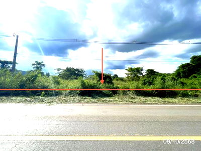 Land for sale Phetchabun : LAND for sale  Chon Daen Chon Daen Phetchabun