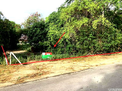 ที่ดิน ม.นานาชาติแสตมฟอร์ด หัวหิน : ที่ดินว่างเปล่า สำหรับขาย - หัวหิน หัวหิน ประจวบคีรีขันธ์